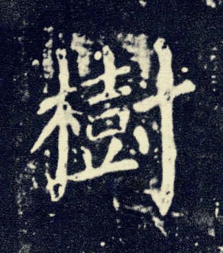 樹楷书书法写法高清图片