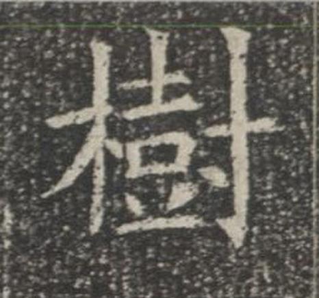 樹楷书书法写法高清图片