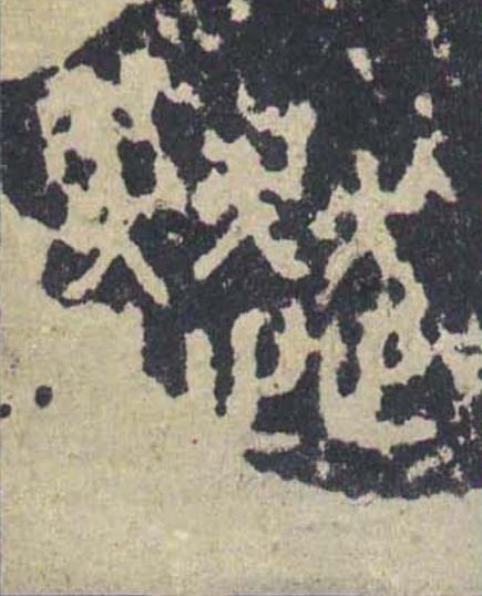 奔篆书书法写法高清图片