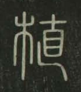 植篆书书法写法高清图片