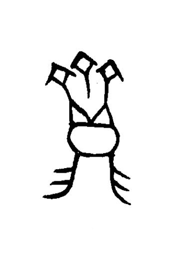 齍篆书书法写法高清图片