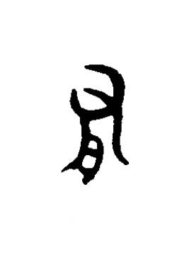 有篆书书法写法高清图片