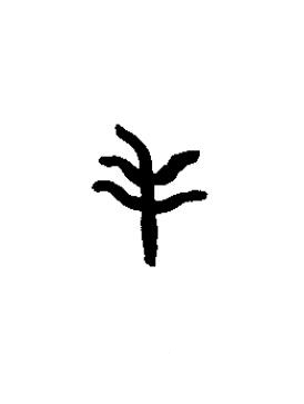 毛篆书书法写法高清图片