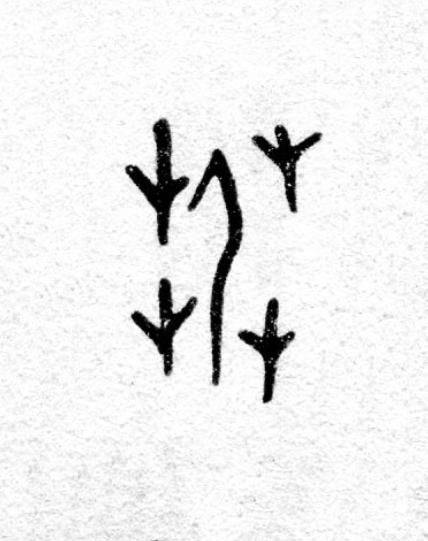 艿篆书书法写法高清图片