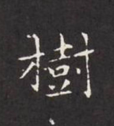 樹楷书书法写法高清图片