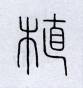 植篆书书法写法高清图片