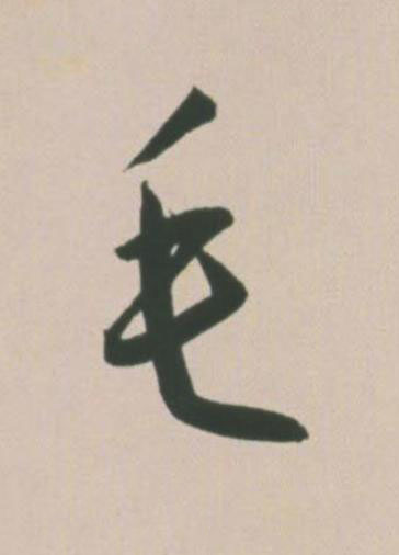 毛草书书法写法高清图片