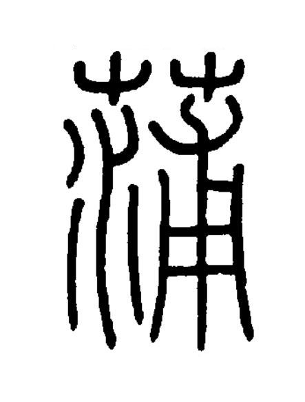 蒲篆书书法写法高清图片