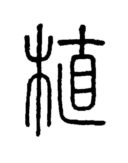 植篆书书法写法高清图片
