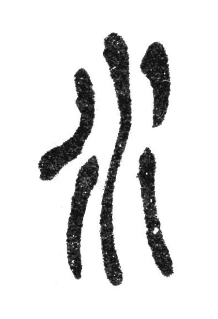 水篆书书法写法高清图片