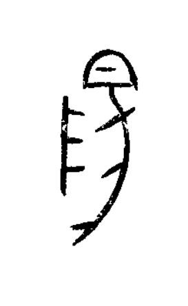 陽篆书书法写法高清图片