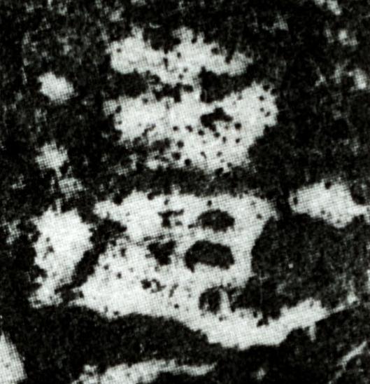 遭隶书书法写法高清图片