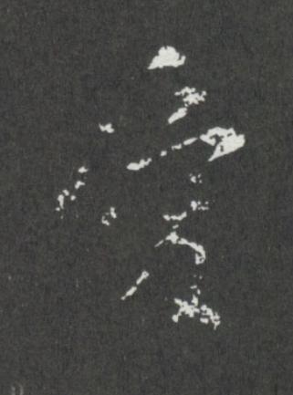 愛行书                      书法写法高清图片