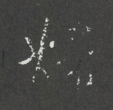 婦行书                      书法写法高清图片