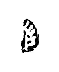 左篆刻书法写法高清图片