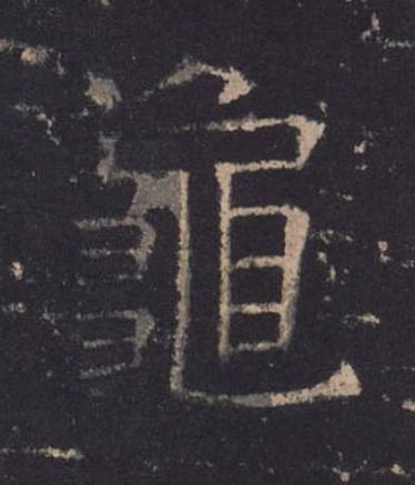龜楷书书法写法高清图片