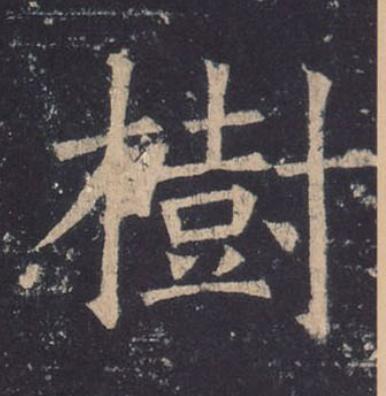 樹楷书书法写法高清图片