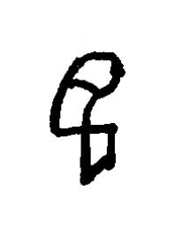 羽篆书书法写法高清图片