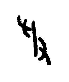 爰篆书书法写法高清图片