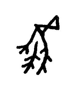風篆书书法写法高清图片
