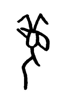 萈篆书书法写法高清图片