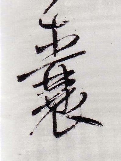 囊行书                      书法写法高清图片