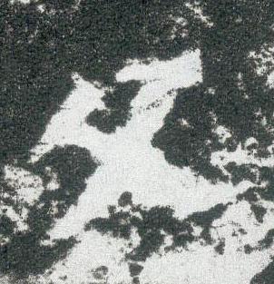 父魏碑书法写法高清图片