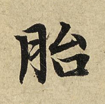 胎楷书书法写法高清图片
