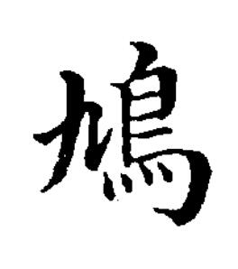 鳩楷书书法写法高清图片