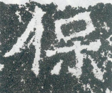 保魏碑书法写法高清图片