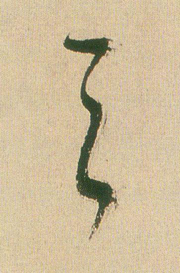 之草书书法写法高清图片