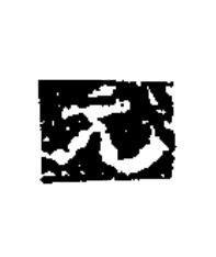 元楷书书法写法高清图片
