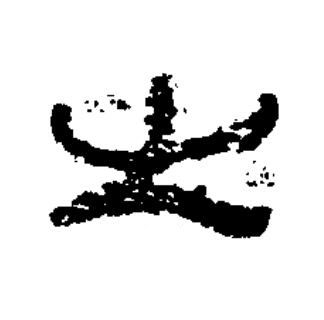 之篆书书法写法高清图片