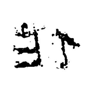 作隶书书法写法高清图片