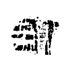 作隶书书法写法高清图片