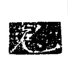 冤隶书书法写法高清图片