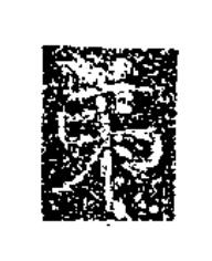 弟隶书书法写法高清图片