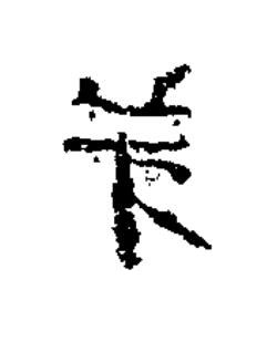 弟隶书书法写法高清图片