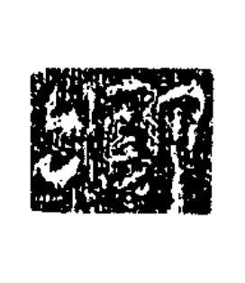 卿隶书书法写法高清图片
