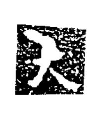 大隶书书法写法高清图片