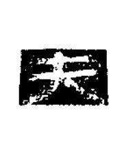 夫隶书书法写法高清图片