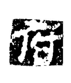 府隶书书法写法高清图片