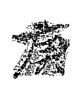庚楷书书法写法高清图片