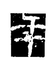 年楷书书法写法高清图片