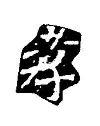 孝楷书书法写法高清图片