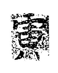 寅楷书书法写法高清图片