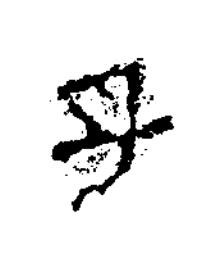 子隶书书法写法高清图片