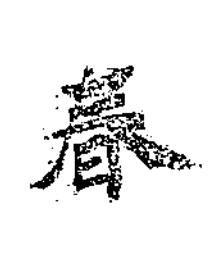 春楷书书法写法高清图片