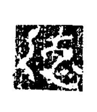 徳楷书书法写法高清图片