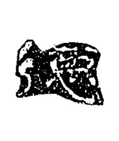 徳隶书书法写法高清图片